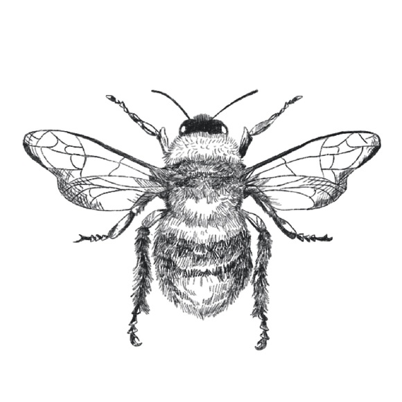 belenbiii